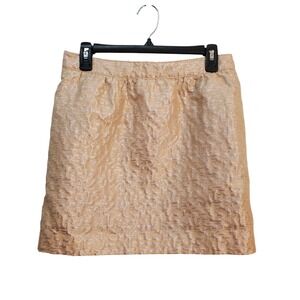 Ann Taylor LOFT Skirt Metallic Champagne‎ Jacquard Party Career Petite 6P